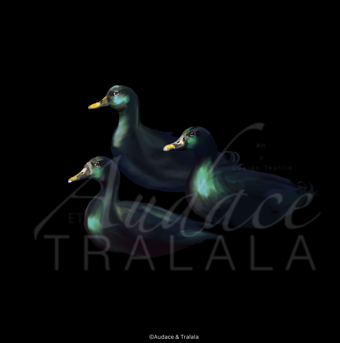 © Audace & Tralala - Balade Nocturne