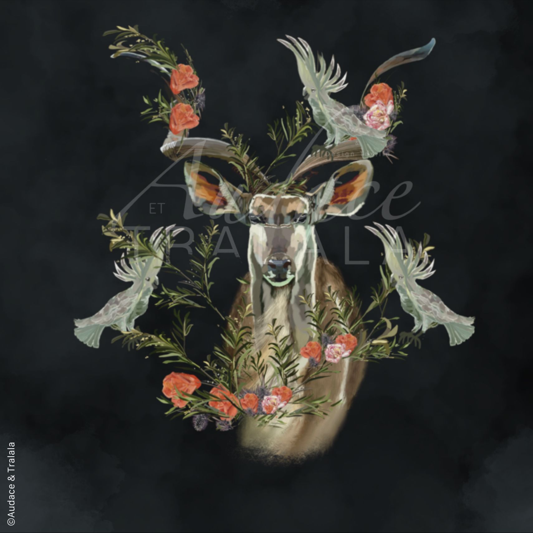 © Audace & Tralala - L'apparition du Koudou